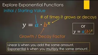 Explore Exponential Functions (Intro)