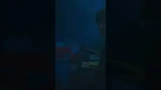 Страшная правда о буках 