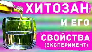 Хитозан Тяньши не работает??? Эксперимент!