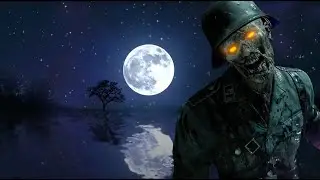 Relaxing Sleep Music - Call of Duty Zombies
