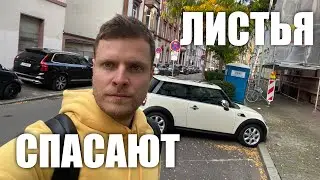 Не нужно убирать листья с газонов или почему я не мою машину в Америке