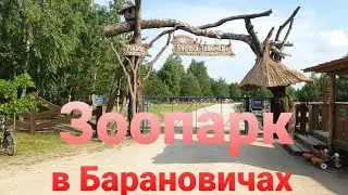 Baranovichi Zoo Dipriz. Zoo review. 