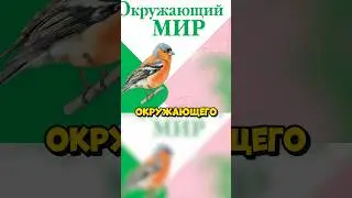 МИФЫ 80