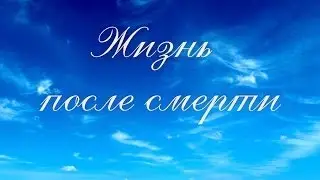 Коротко о важном: Жизнь после смерти