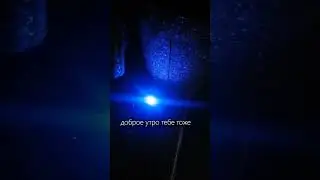Алиса сошла с ума🤣