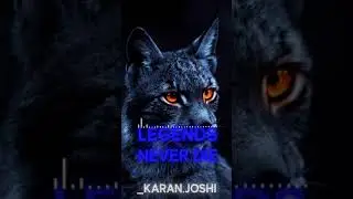 legends never die Instagram Reels, Story, status