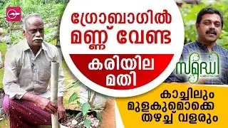 ഗ്രോബാഗിൽ മണ്ണ്​ വേണ്ട; കരിയില മതി കാച്ചിലും മുളകുമൊക്കെ തഴച്ച്​ വളരും | Madhyamam | Samridhi |