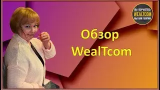 ОБЗОР WEALTCOM