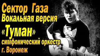 Сектор Газа «Туман» симфонический оркестр г.Воронеж