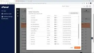 How to restore files from backup with JetBackup5?