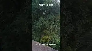 Xitoy tabiati-1 #shoptima #china #wenzhou