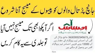 Ehsaas labour program |Ehsaas Program Details in Urdu | Ehsaas Program Online Registration 2020