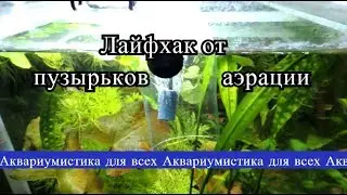 Лайфхак для аэрации в аквариуме. Аэрация в аквариуме.