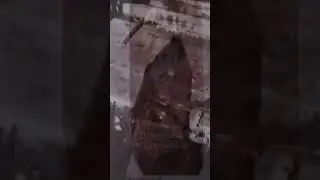 Опознал эту гадину через 15 лет.