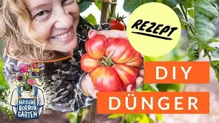 Nie mehr Tomaten Dünger kaufen - Rezept mit 3 natürlichen Zutaten I der kleine Horrorgarten