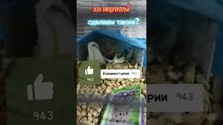 не портить! 