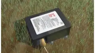 Tick Box Demonstration