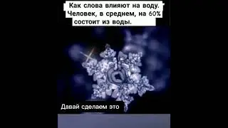 Как слова влияют на воду. Человек, в среднем, на 60% состоит из воды.