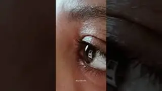 macro photography idea 