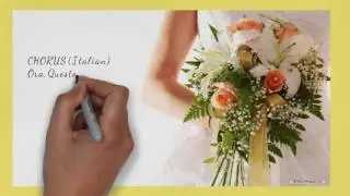 A Fairy Tale Of Love