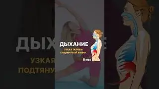 Дыхание. Подтянутый живот и узкая талия. Описание в комментах.