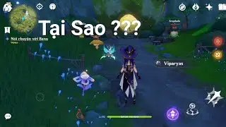 Paradisa và Viparyas , cách nhặt hoa , nguyên liệu đột phá cho nilou