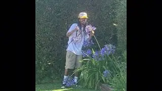 (Free) Earl Sweatshirt x MIKE type beat - Look Around