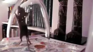 mouse