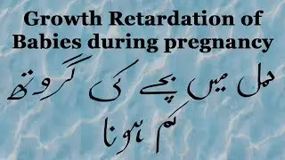 Growth retardation in pregnancy (Urdu/Hindi)
