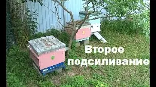 Second reinforcement according to Tsebro