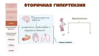 Бемории фишорбаланди.Этиология, патогенез, табобат