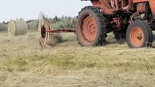 Согребаем сено на т 25 грабли солнышко