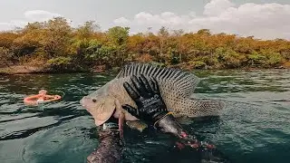 Tilápia Espacial!!! Pesca Sub