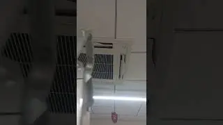 Toshiba Vrf Cassette AC Error P10 #information #shortsviral