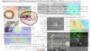 Optical Rheology for the Multi scale Biomechanical Assessment of Tissue - Seemantini Nadkarni
