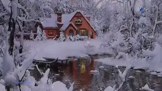 Winter - SEAY