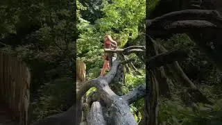 Любов до себе