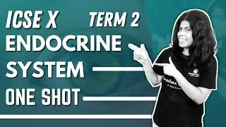 endocrine glands icse 10 biology semseter 2 | one last shot page by page explanation