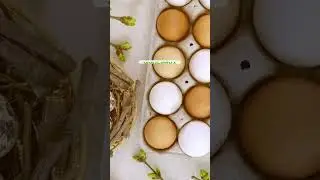 11 ноября 2023 г.