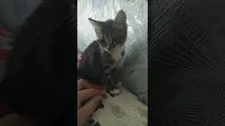 Сладкий пирожочек 😄😁😅