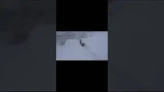 Зима, #Норильск  Как же я болел за этого пса! #shorts