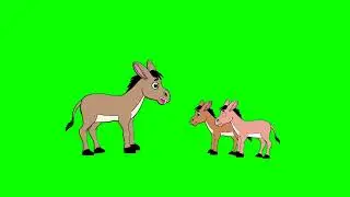Donkey green screen no copyright free video/Donkey green screen video