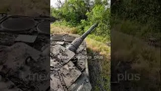 А шо это за модель?