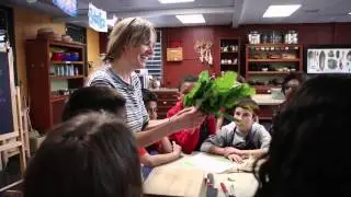The Edible Schoolyard Project – green education for kids | Anthropologie