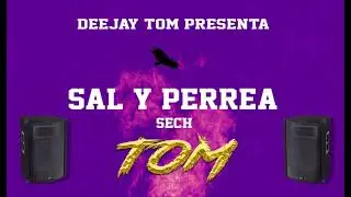 SAL Y PERREA - SECH - (PERREO) -  DEEJAY TOM 2021