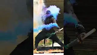 Ninja vs Predator.