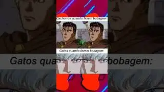 memes em imagens gato vs cão #meme #memebr #memesemimagens
