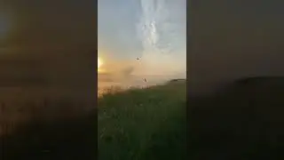 Дон и туман🤤 