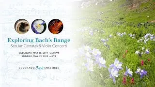 CBE | Exploring Bach's Range: Secular Cantatas & Violin Concerti