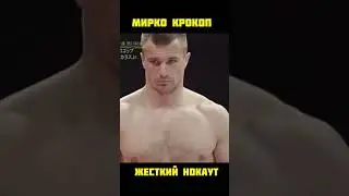Мирко КроКоп - Жёсткий НОКАУТ ХАЙКИКОМ. CroCop - brutal KO.